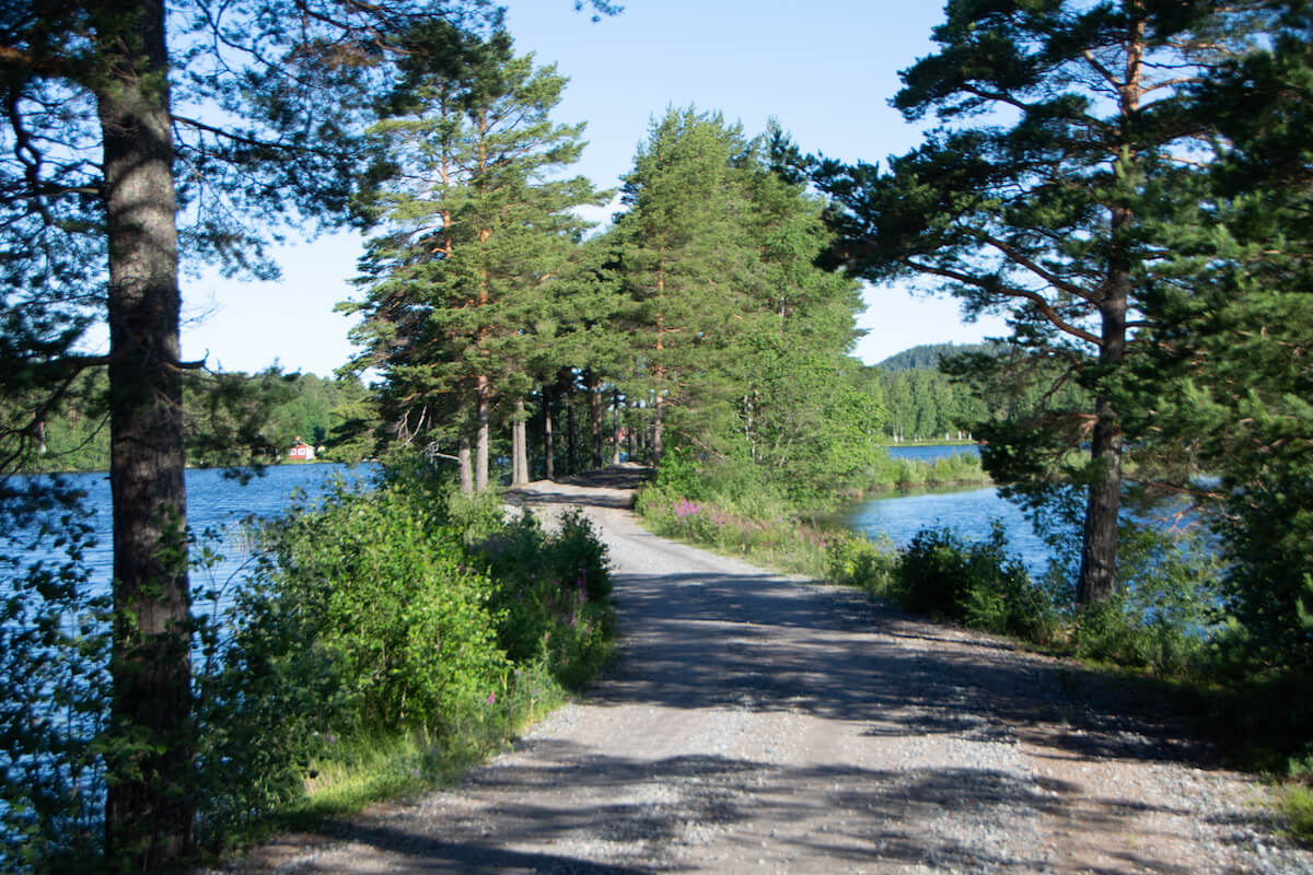 Vägen till Gårdviksbo